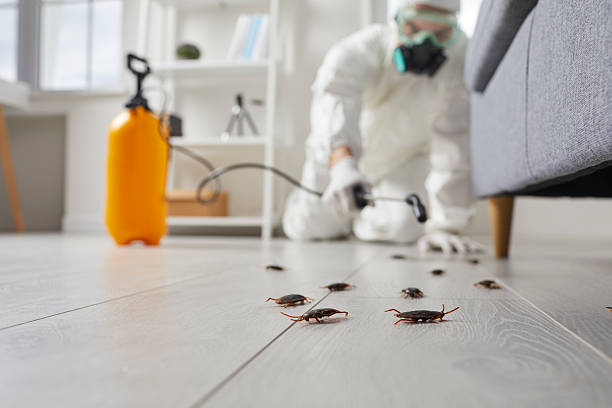 Commercial Kitchen Cockroach Control in Keaau